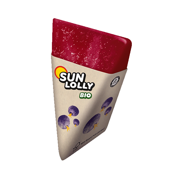Sun Lolly Organic blackcurrant ice lollie